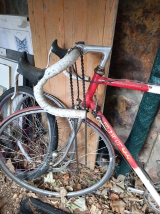 Bicicleta Clásica Grimplip