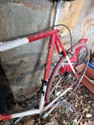 Bicicleta Clásica Grimplip