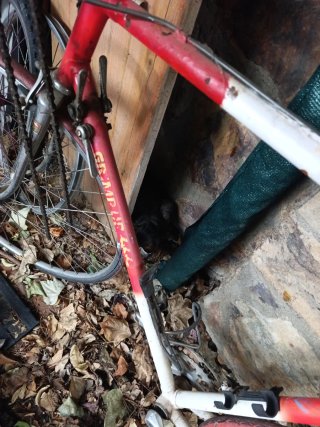Bicicleta Clásica Grimplip