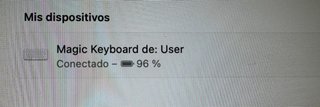 Apple Keyboard A2450 inalámbrico (Alemán)