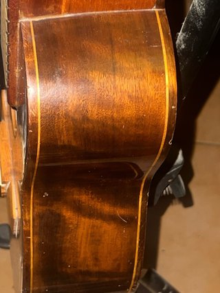 Cavaquinho brasileño de concierto gianini