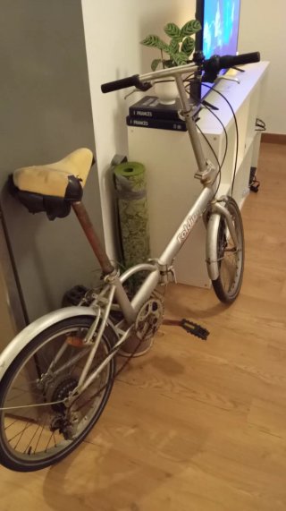 Bicicleta Plegable Plata
