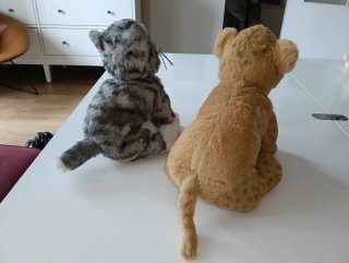 Peluche gato y león