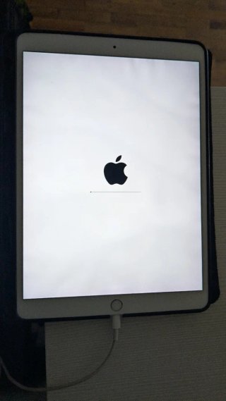 iPad Pro 10.5 256GB WiFi+SIM A1709