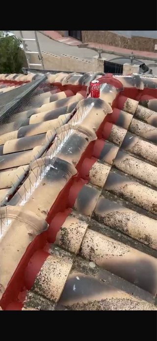 Tejados y cubiertas