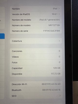 iPad 16.6 Apple