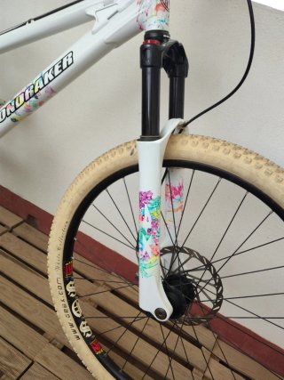 Bicicleta Mondraker Dualen
