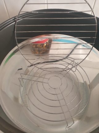 Horno portátil WSB