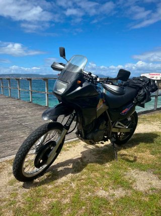 Suzuki DR 650 RSE '92
