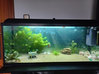 Acuario 100L con mueble nuevo