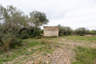 Finca rústica con pequeña edificación y agua
