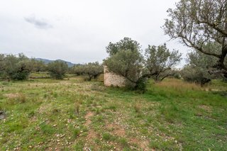 Finca rústica con pequeña edificación y agua