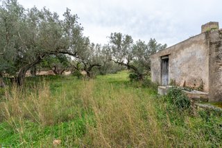 Finca rústica con pequeña edificación y agua