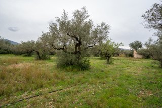 Finca rústica con pequeña edificación y agua