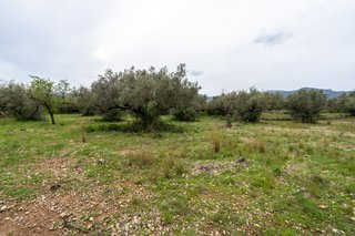 Finca rústica con pequeña edificación y agua