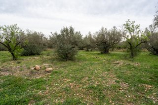 Finca rústica con pequeña edificación y agua