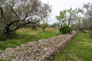 Finca rústica con pequeña edificación y agua