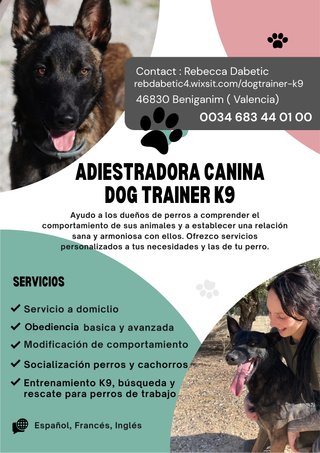Adiestradora canina