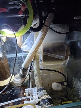 VENDO ACUARIO MARINO COMPLETO 650LT