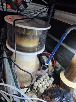 VENDO ACUARIO MARINO COMPLETO 650LT