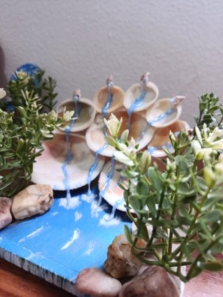 Maqueta Cascada Conchas y Plantas