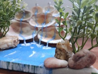 Maqueta Cascada Conchas y Plantas