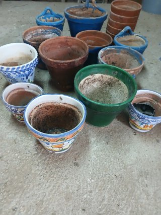 Lote Macetas Cerámica y Terracota