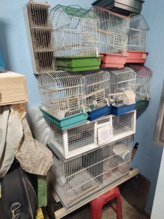 Jaulas para pájaros
