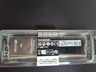 Kingston FURY Beast DDR5 5200MHz precintado