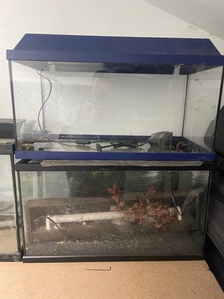 Acuario Pecera Azul y Transparente