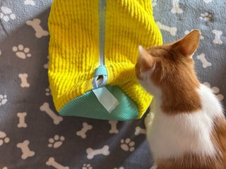 Bolsa para zapatillas lavadora