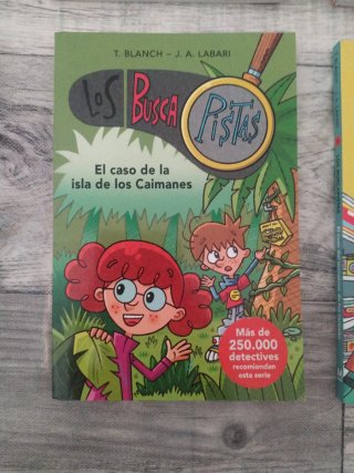 El caso del castillo encantado (Serie Los Busca...