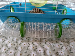 Jaula para hámster con accesorios