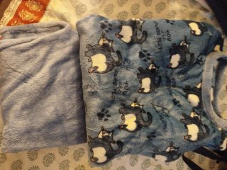 Pijama polar de gatos azul y blanco