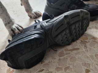 Nike V2K GTX Talla 42 Hombre