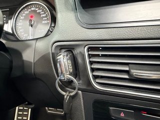 Audi SQ5 S Line (2017)