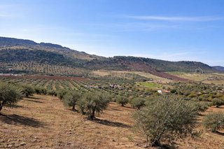 Chalet en venta en Zafra