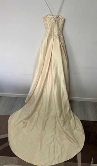 Pronovias Ivory Champagne Strapless Wedding Dress