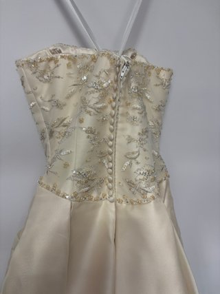 Pronovias Ivory Champagne Strapless Wedding Dress