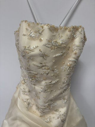 Pronovias Ivory Champagne Strapless Wedding Dress