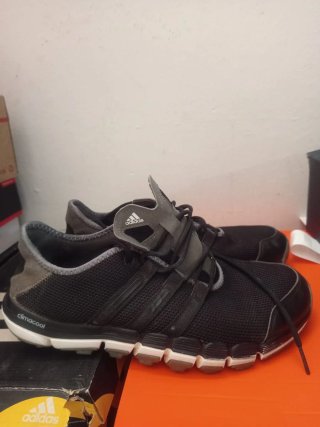 Zapatos Adidas Golf Talla 44