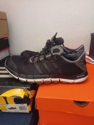 Zapatos Adidas Golf Talla 44