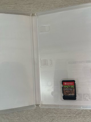 Minecraft Nintendo Switch