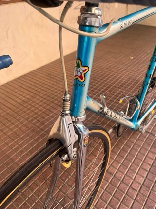 Olmo Sintex Campagnolo C-Record
