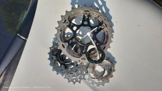 Corpetto pignoni Shimano Ultegra 11 v 11/28