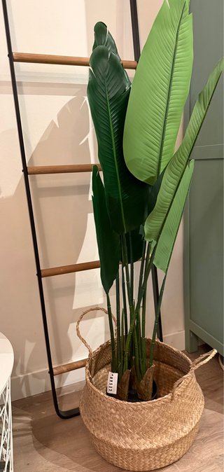 Planta Decorativa 120cm