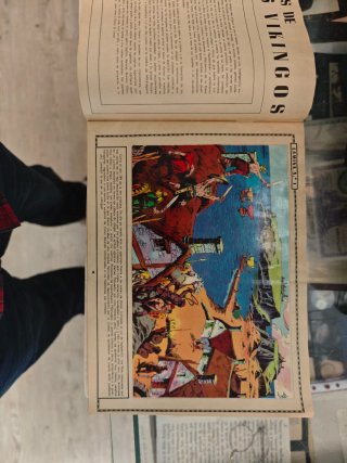 Álbum Maga Vikingos Vida y Costumbres Cromos