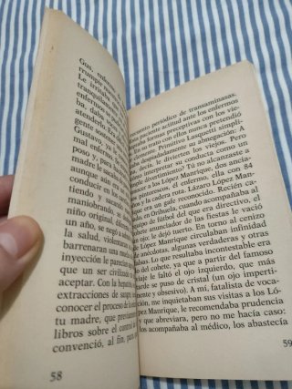 Senora De Rojo Sobre Fondo Gris (Spanish Edition)