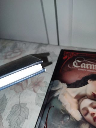Lote libros Edelvives. La Sirenita. Carmilla.