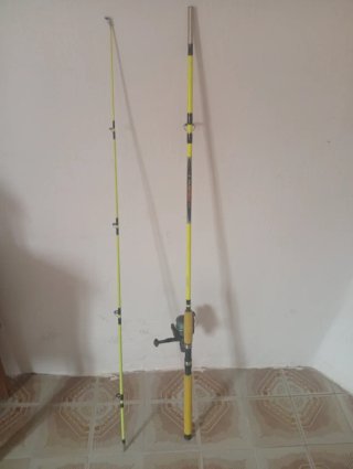 Caña de pescar con carrete
